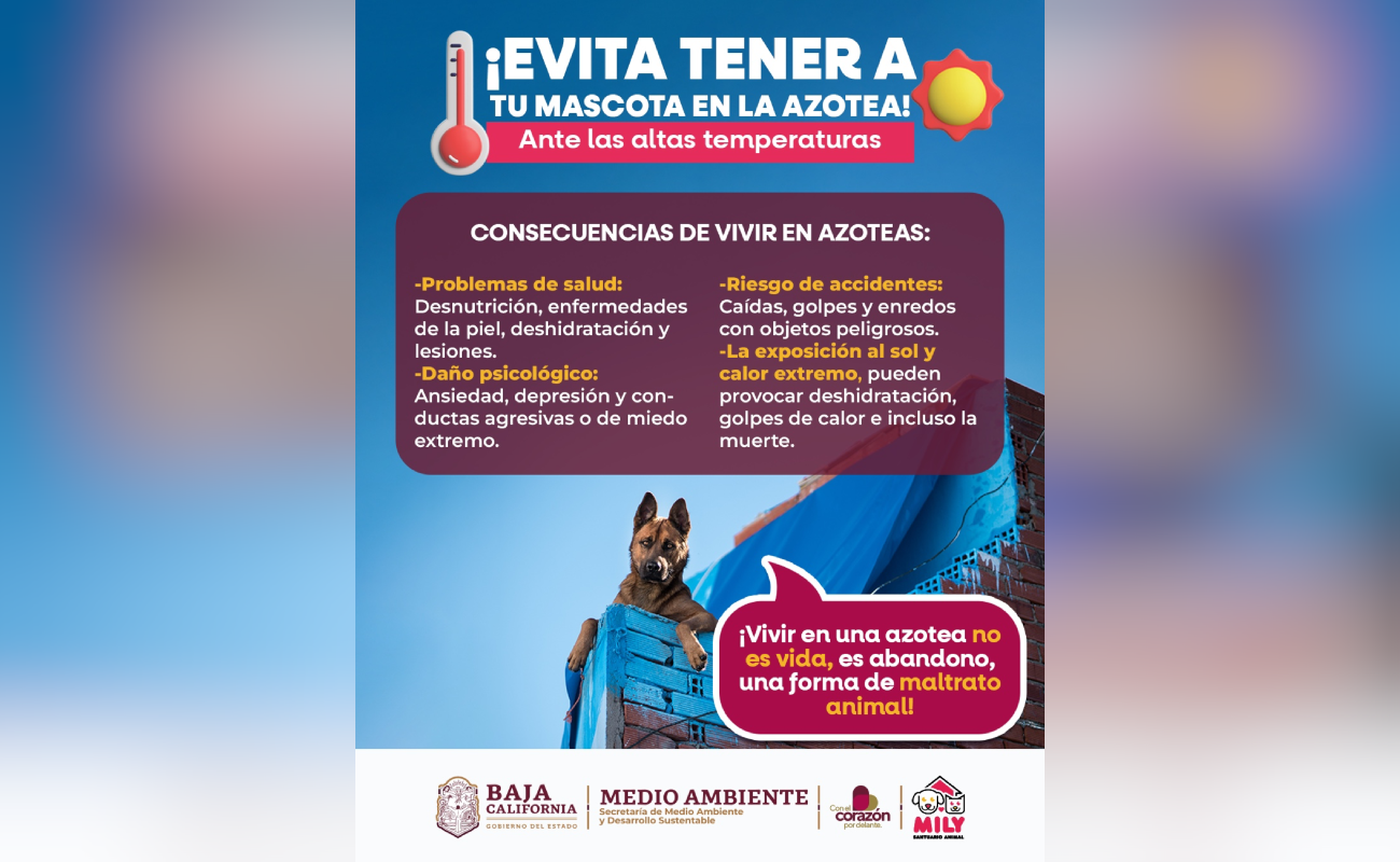 Exhorta Medio Ambiente a proteger a los animales ante el incremento de temperaturas en la región