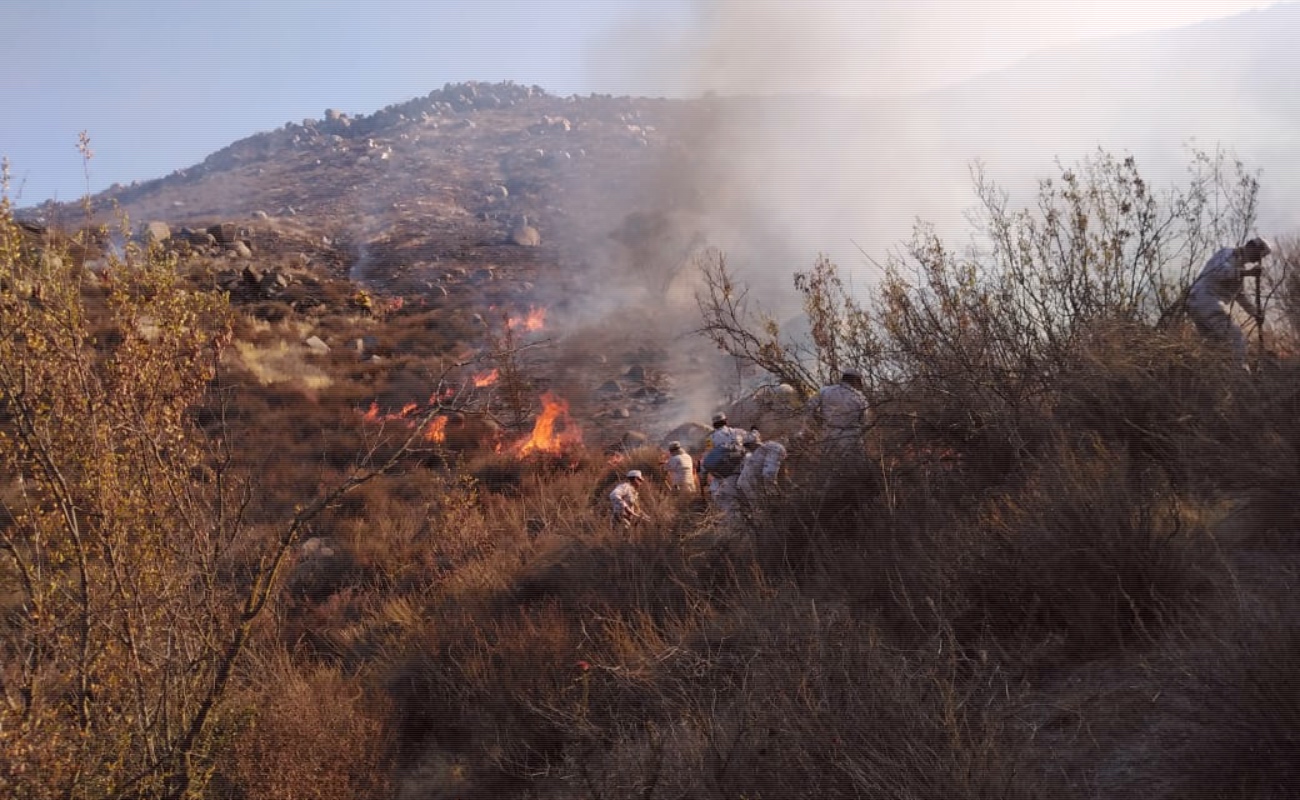Controlan incendios forestales en Valle de Guadalupe