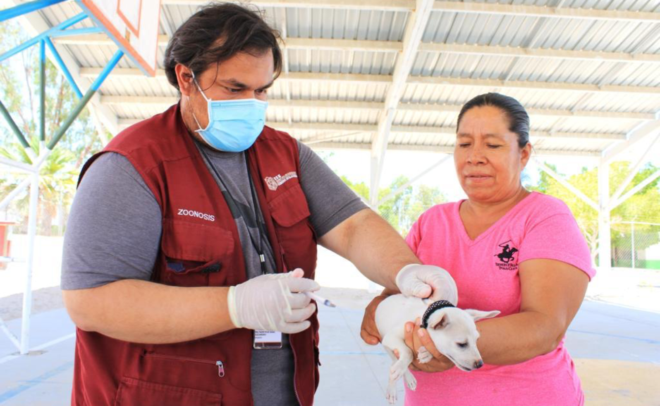 Realiza BC más de 100 mil acciones contra enfermedades zoonóticas