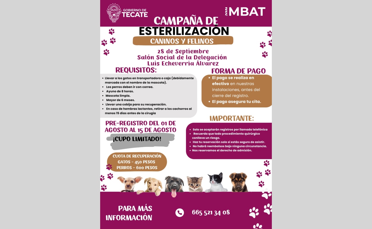 Abusamos de la tecnología