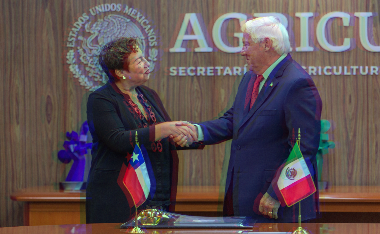 Revisan México y Chile protocolos sanitarios para incrementar comercio agroalimentario bilateral