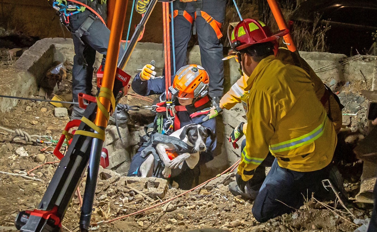 Rescatan Bomberos a perro atrapado en un pozo