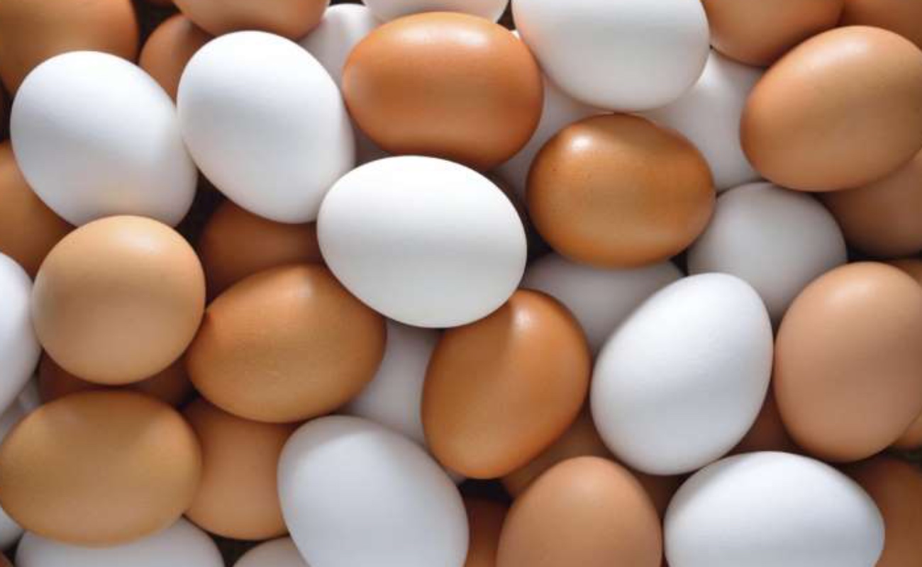 Capacita Agricultura BC a productores de huevo para mejorar prácticas sanitarias en San Quintín