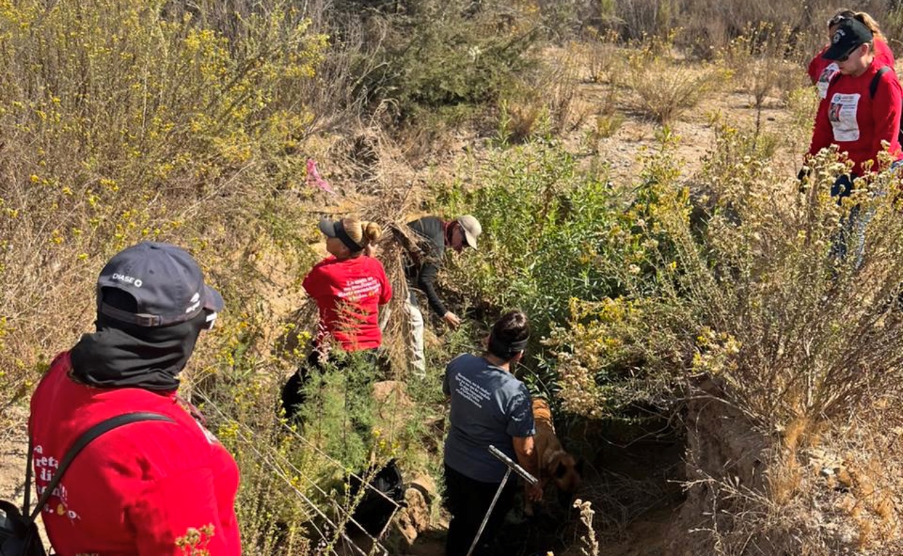 Realizan operativo de búsqueda de personas desaparecidas en la colonia Morelos