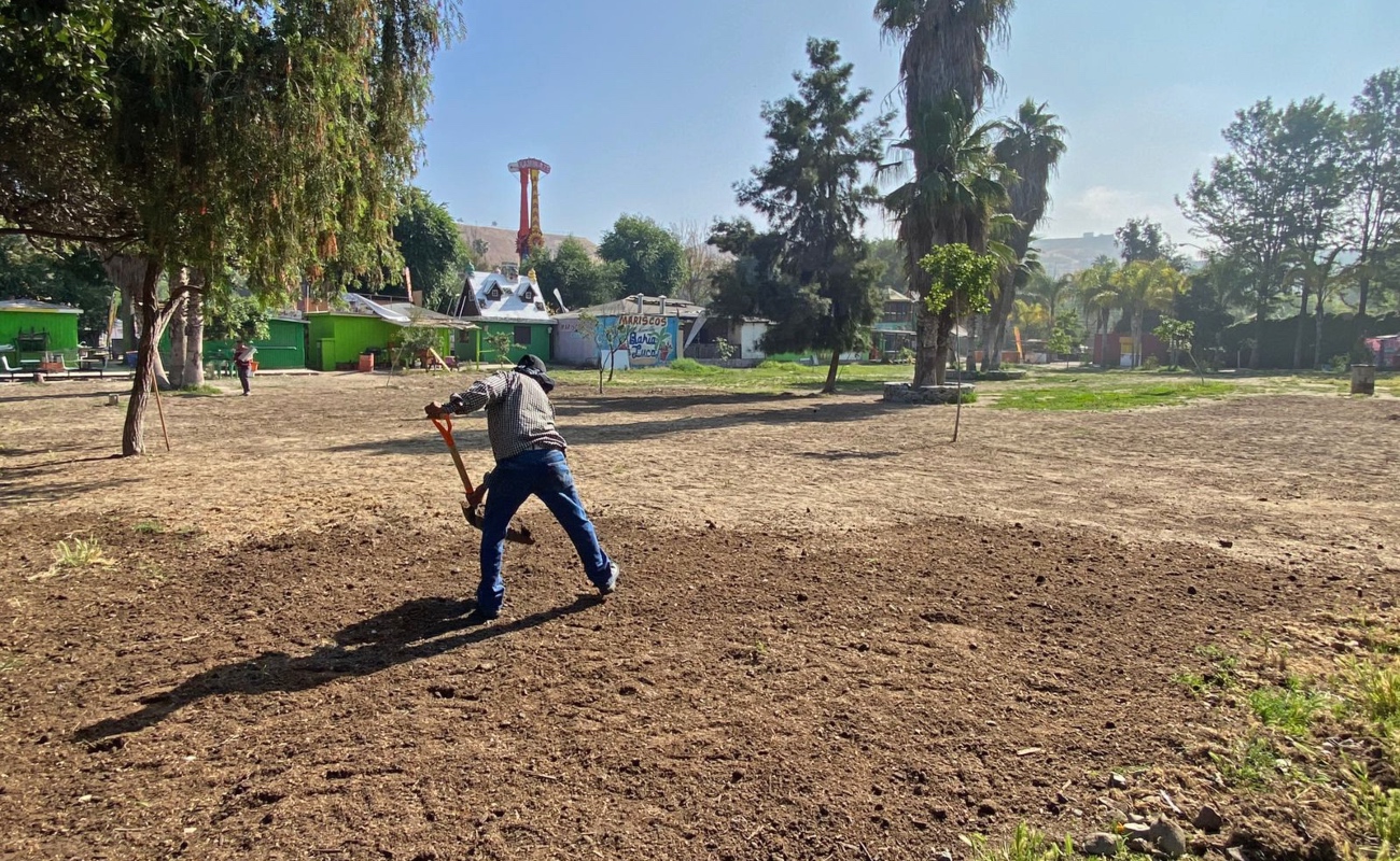 Inician rehabilitación de nueva área verde en el Parque Morelos