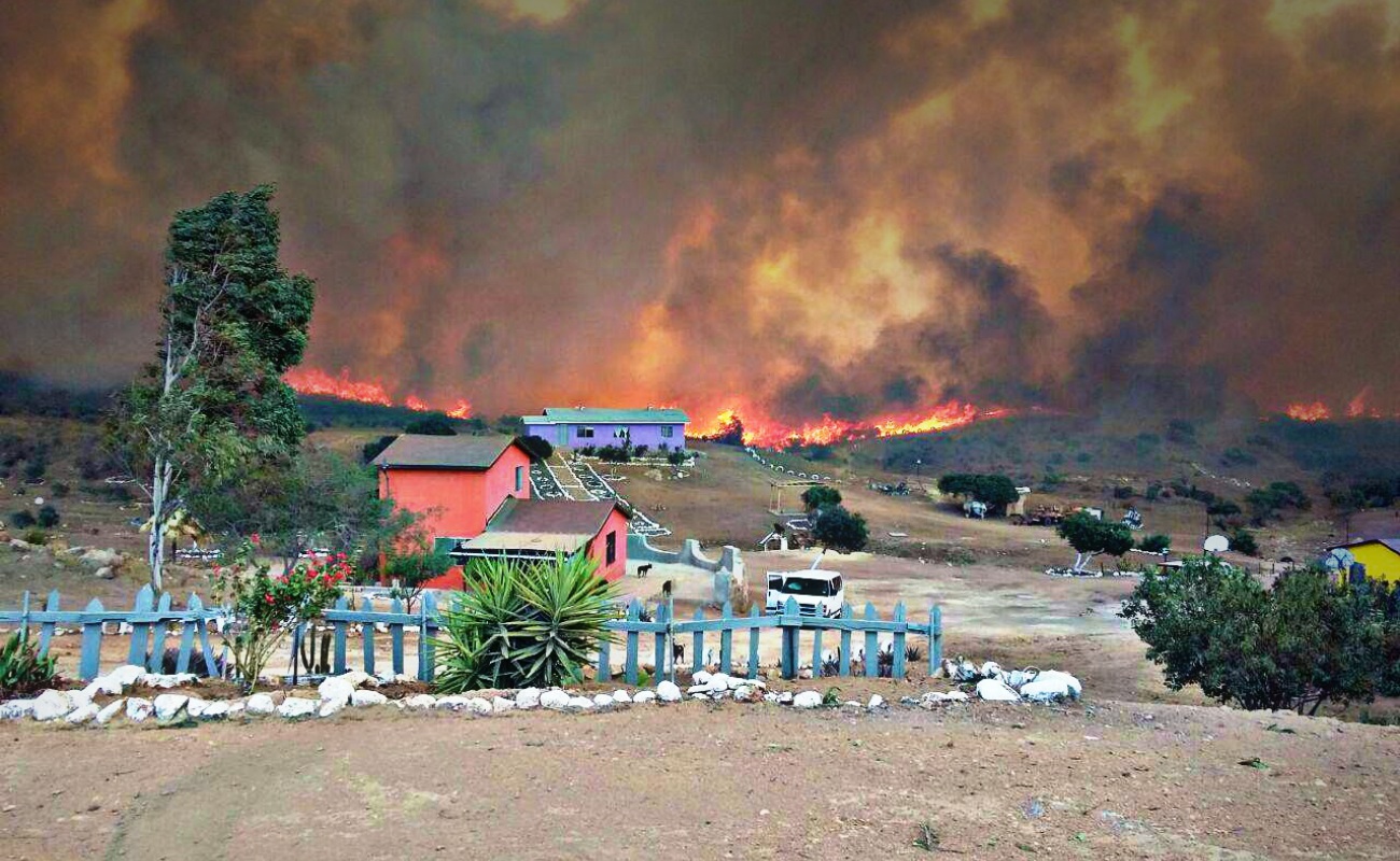 Tijuana abrazada por tres grandes incendios; piden evacuar fracc. Natura
