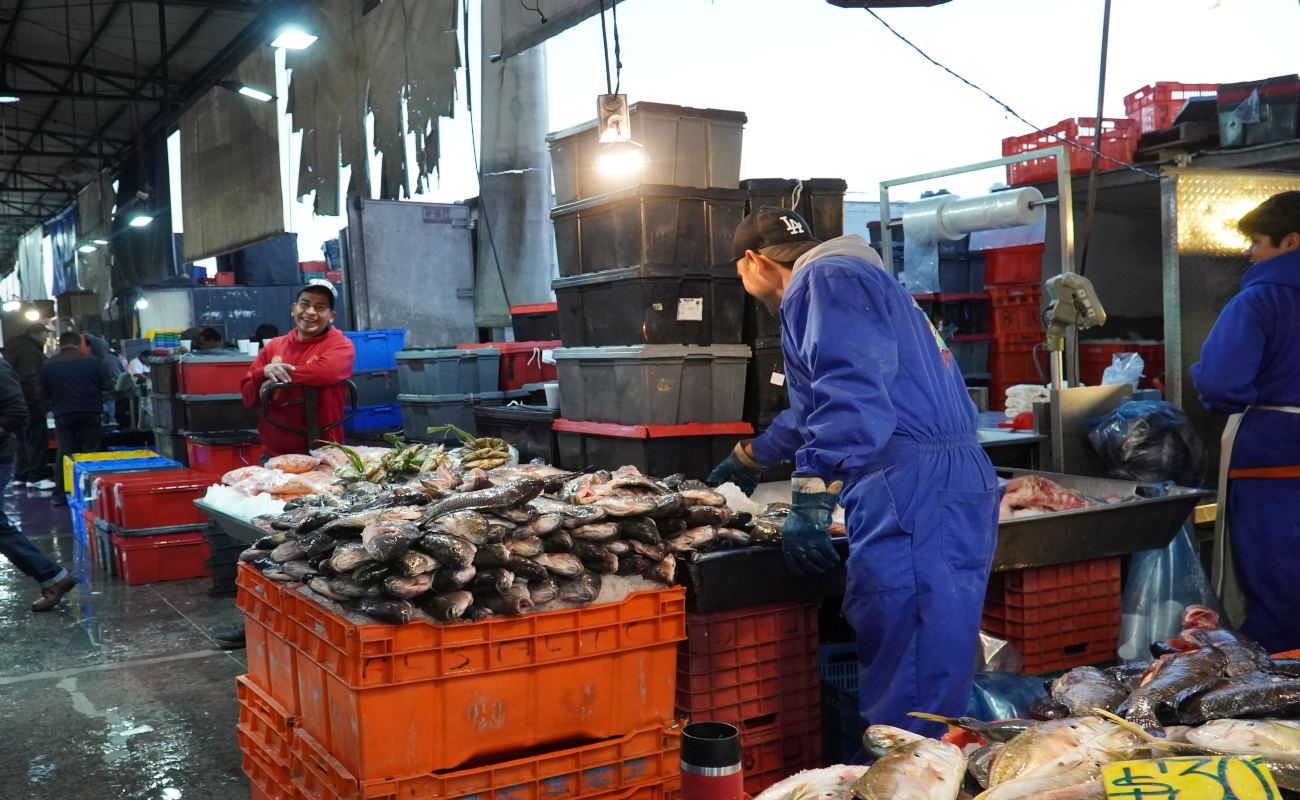 Producen pescadores y acuicultores 26% de la producción anual de pescados y mariscos durante cuaresma