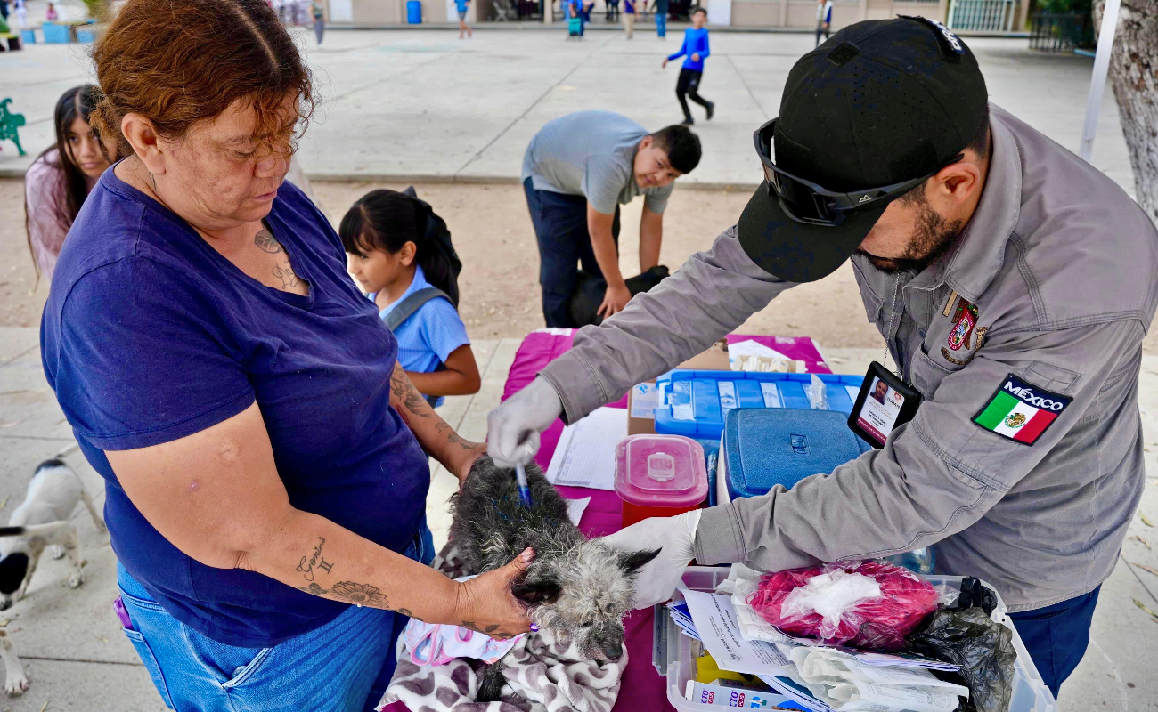 Benefician a más de 500 tijuanenses con Jornada de Bienestar en la colonia Altamira