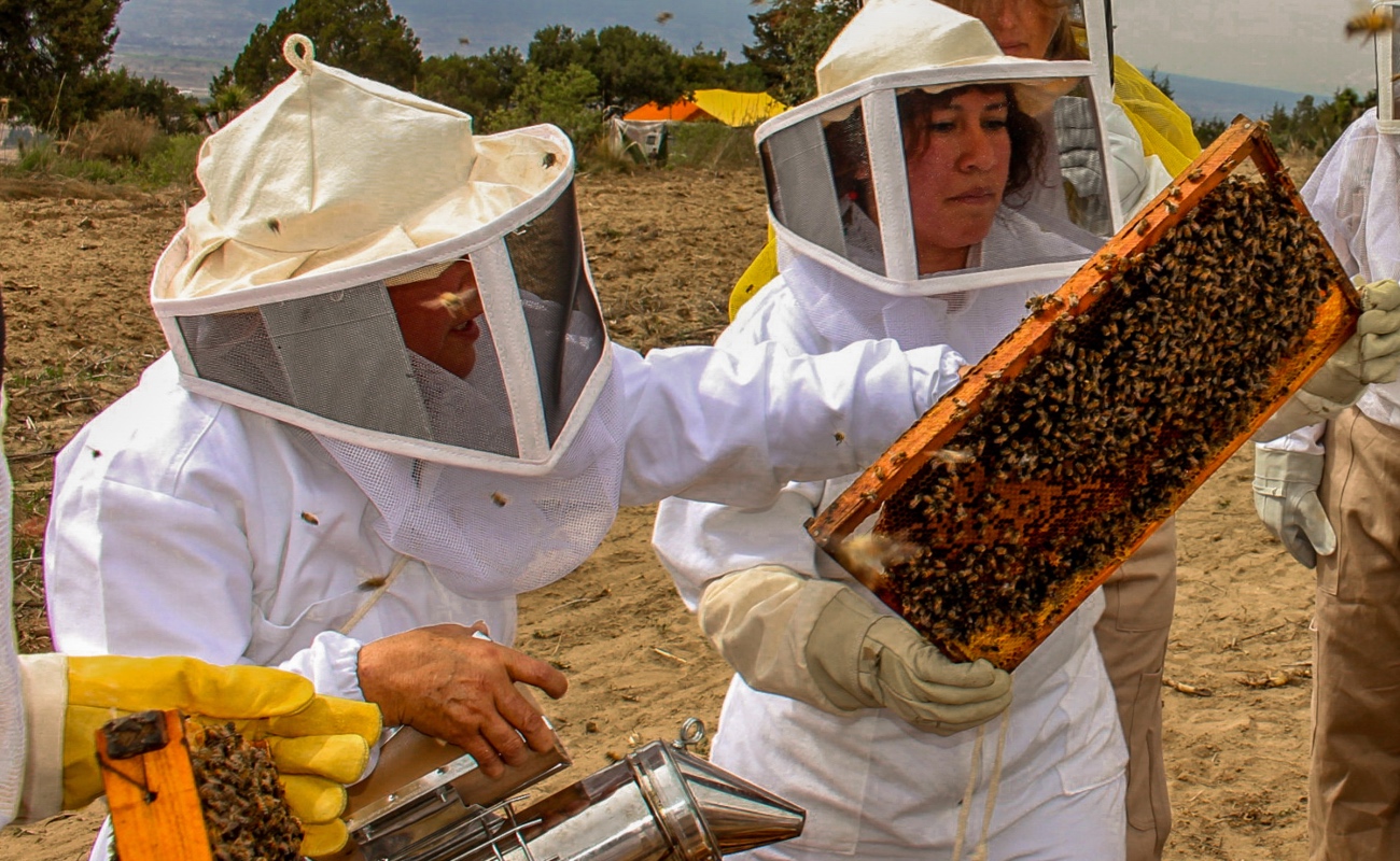 Publica Agricultura recomendaciones para aumentar productividad de agricultores y apicultores
