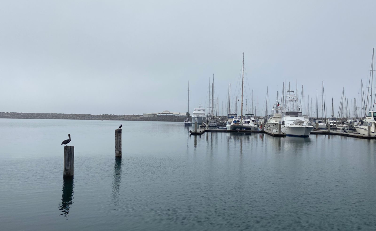 Se prevén cielos parcialmente nublados con tardes soleadas para  zona urbana de Ensenada