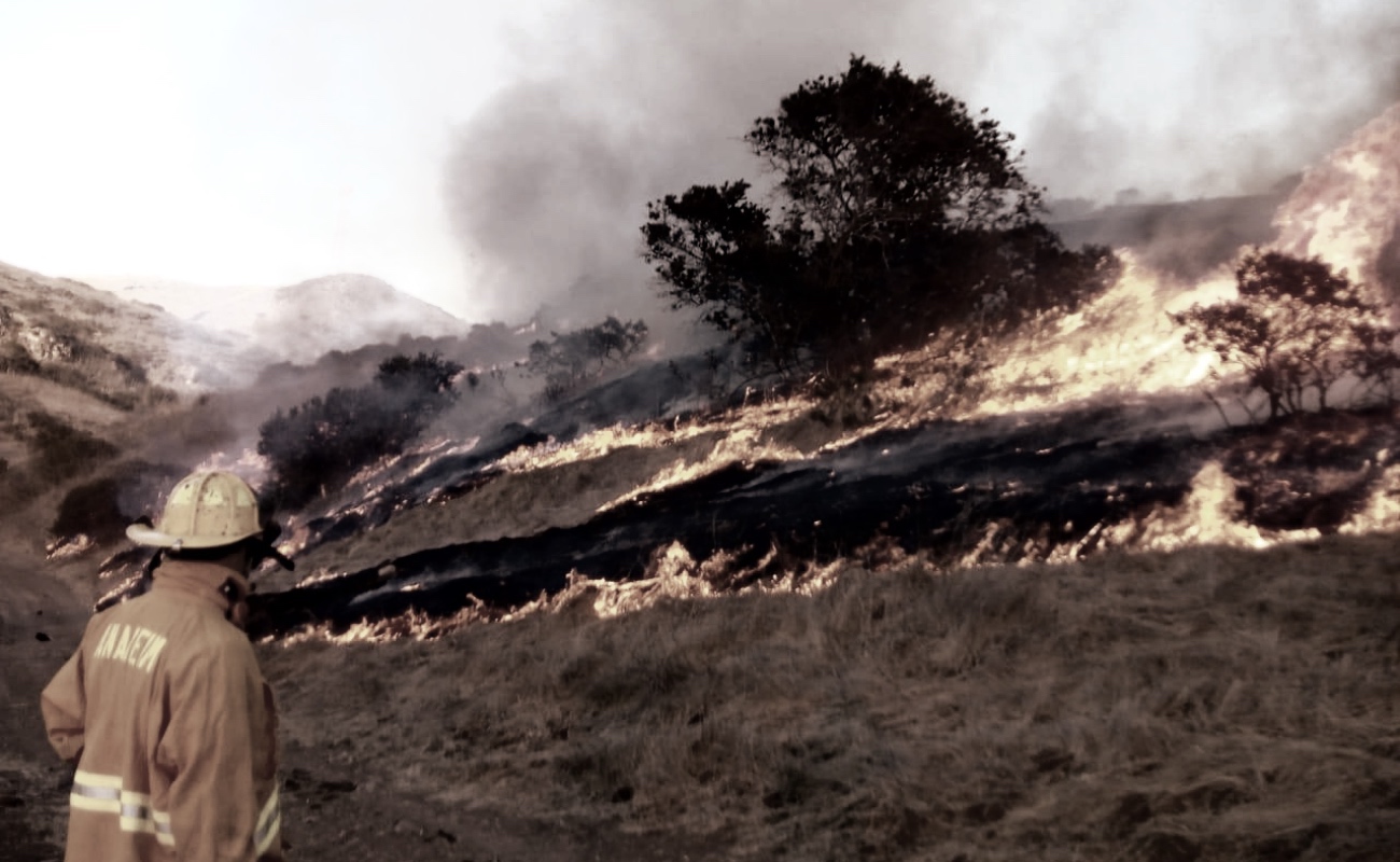 Llama Dirección de Bomberos a prevenir incendios forestales