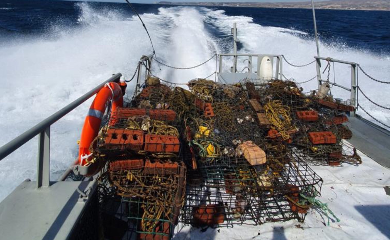 Aseguran artes de pesca utilizados para la captura ilegal de langosta roja en Rosarito