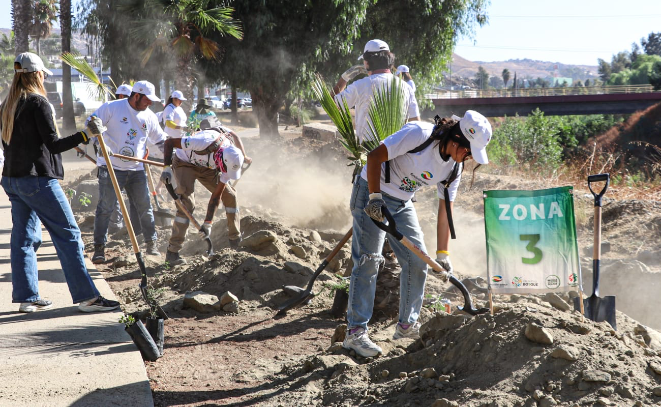 Se sumó Secretaría del Medio Ambiente a Jornada de Reforestación en Río Tecate