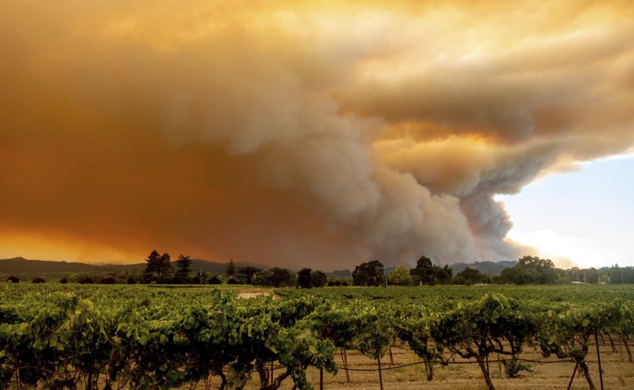 Incendios forestales dejan seis muertos y miles de evacuados en California