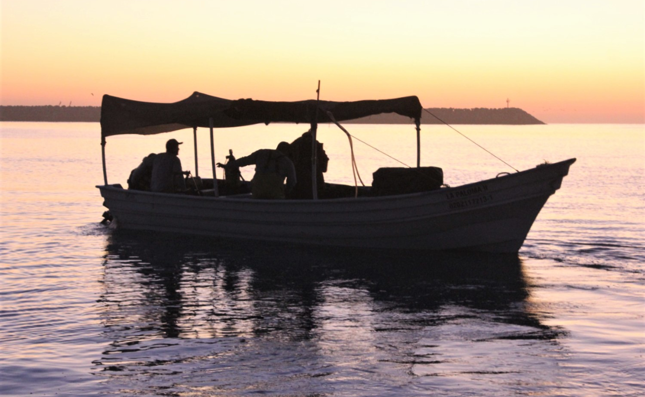 Todo listo para el Primer Torneo Internacional de Pesca Deportiva 2 Mares en San Felipe