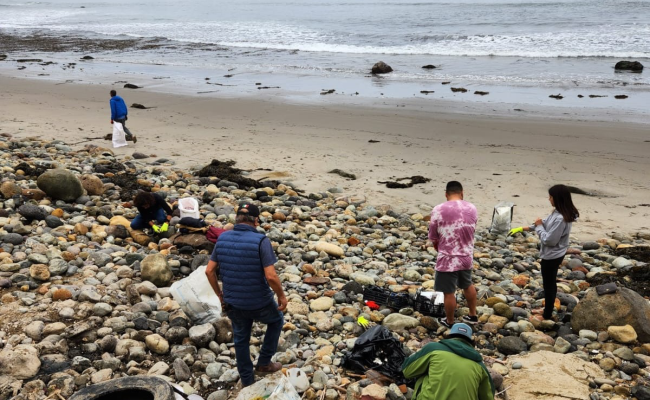 Proyectan rescate de espacios públicos, limpieza de playas y de reforestación en Ensenada