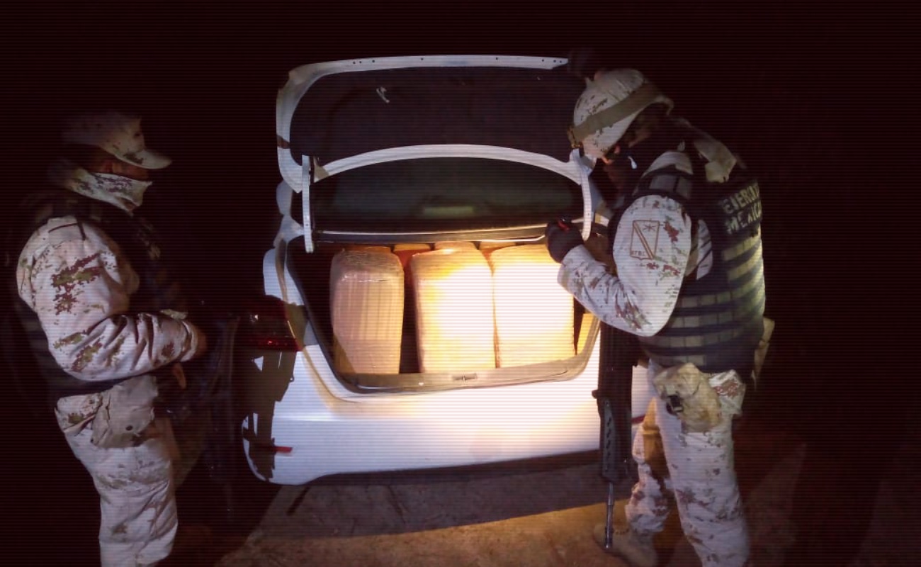 Descubre Ejército mil 261 kilos de marihuana en Maneadero