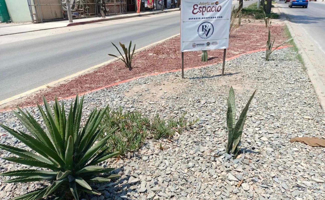 Adoptan empresas y ciudadanos 48 áreas verdes en Ensenada