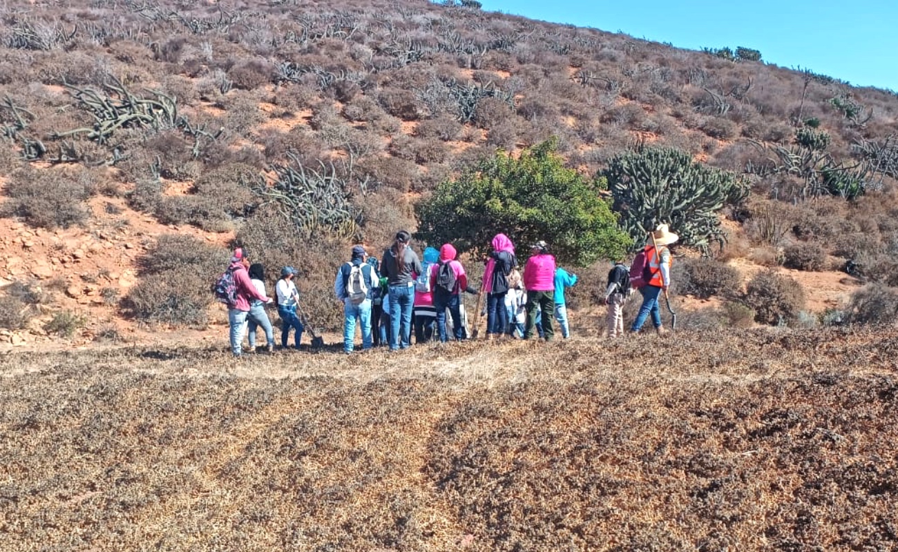 Hallan restos óseos durante operativo de búsqueda en San Quintín