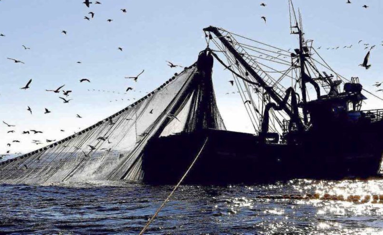 Benefician SEPESCA y autoridades marítimas al sector pesquero y acuícola de BC