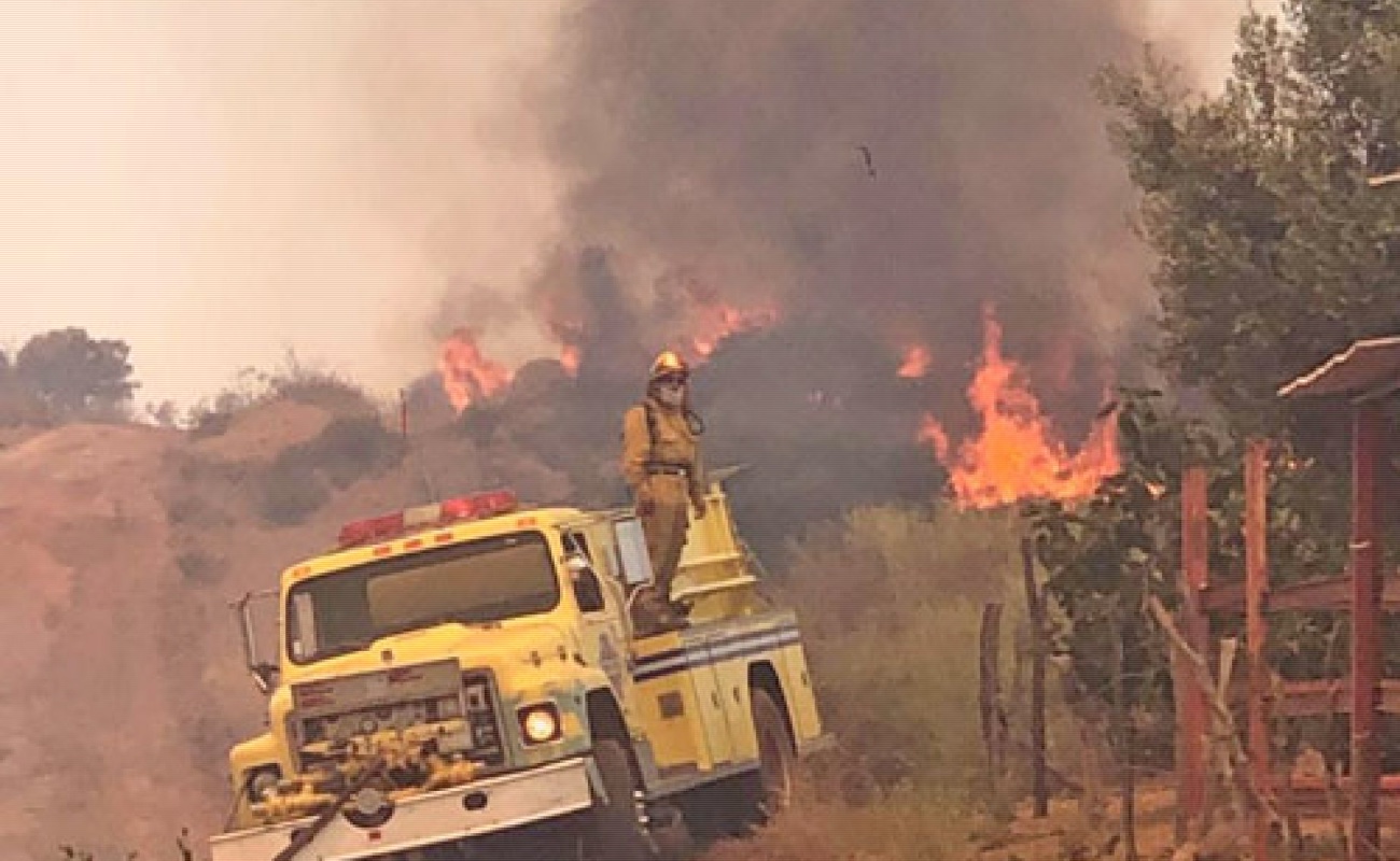 Incendio de Valle de las Palmas consume 4 mil 200 hectáreas de pastizal y arbustos