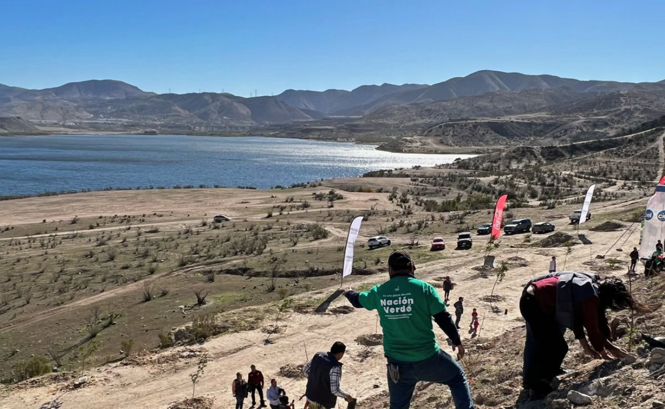 Avanza reforestación del Parque Esperanto en La Presa Rodriguez