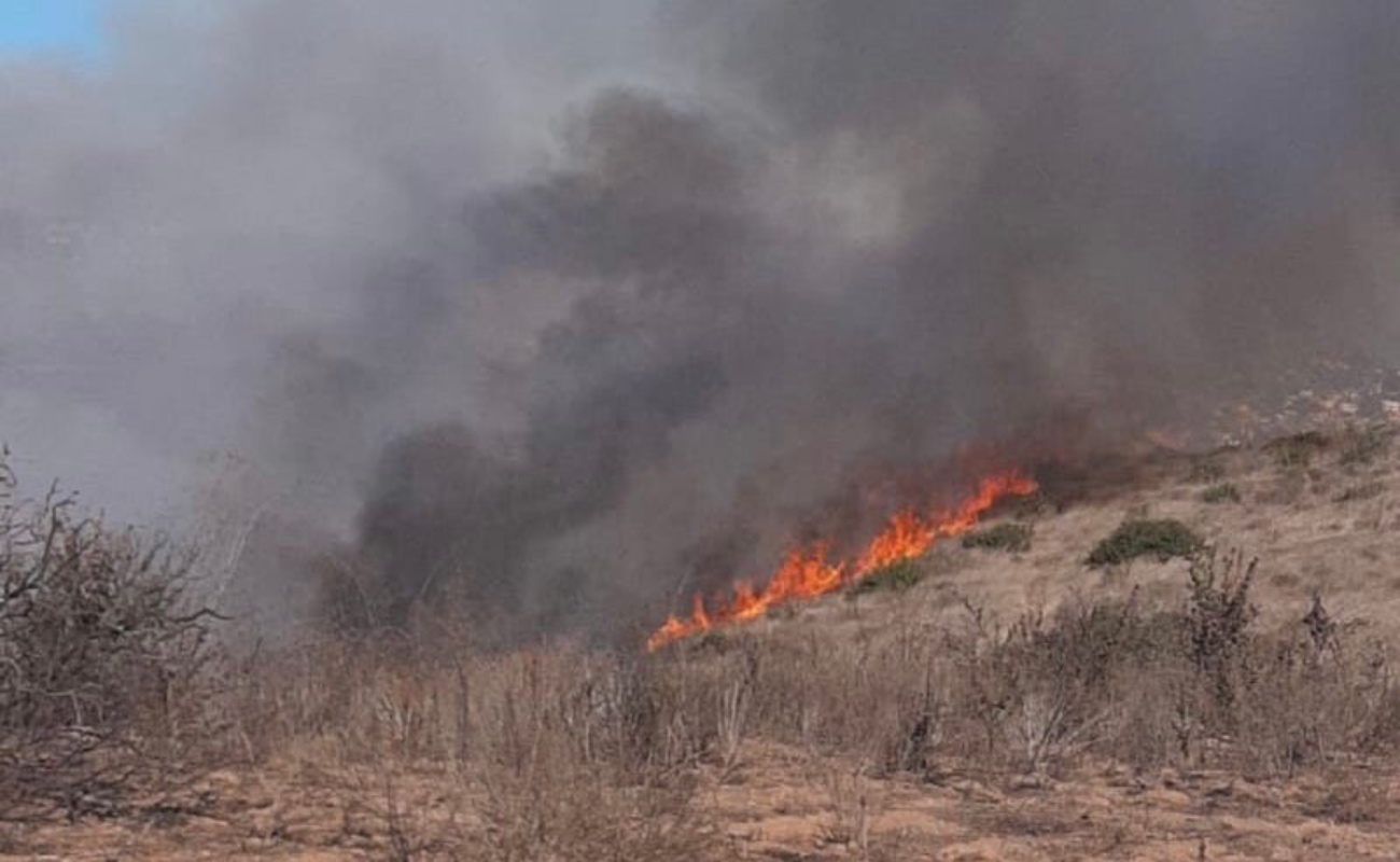 Exhortan Bomberos a sumarse a la prevención de incendios forestales