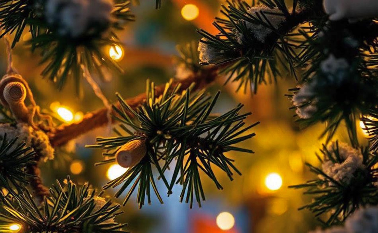 El costo de las luces de Navidad ¿Ya cambiaste tus foquitos a led?