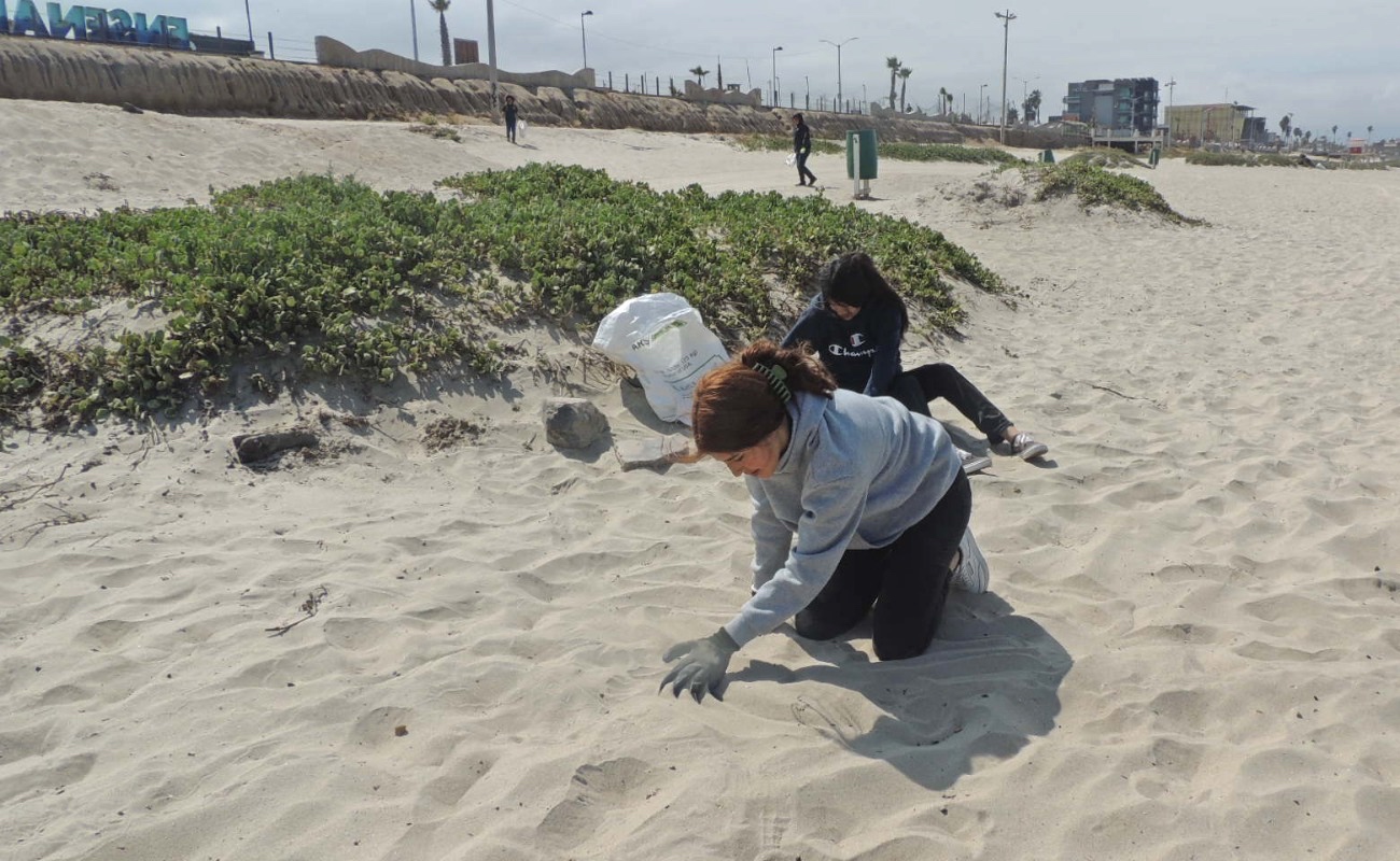 Recolectan alumnos micro y macro plásticos en playas aledañas del Conalep Ensenada