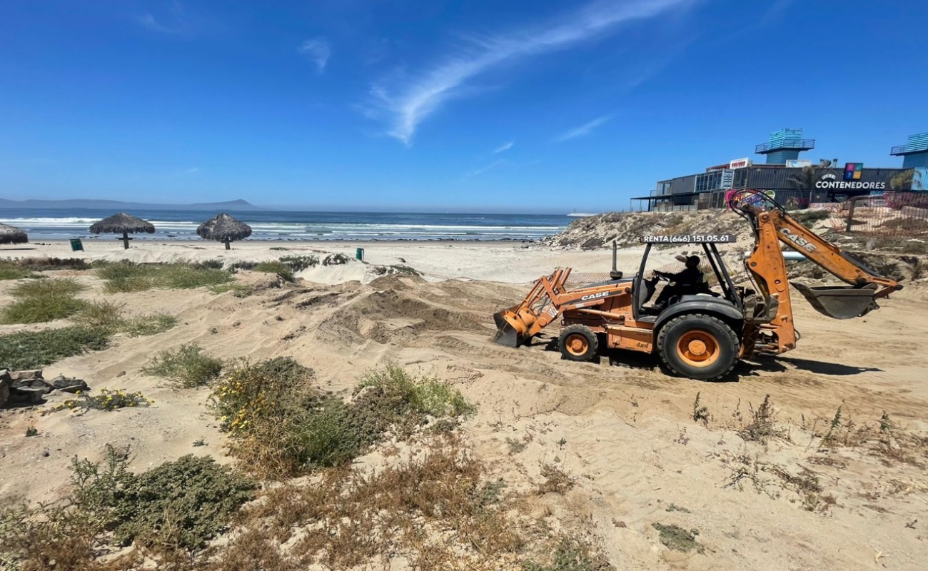 Avanzan trabajos de restauración de dunas en Playa Hermosa
