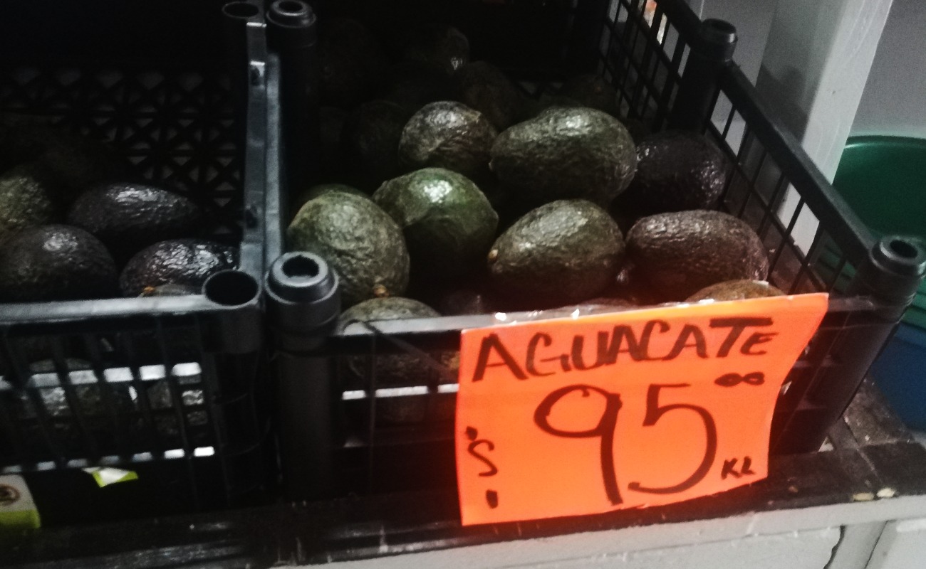 Aguacate llega a los 95 pesos en Tijuana