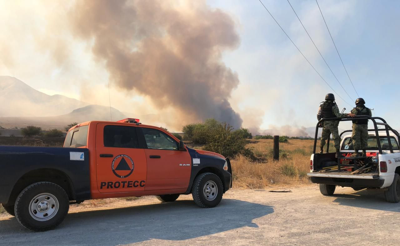 Activan Alerta ante posibles incendios forestales en Baja California