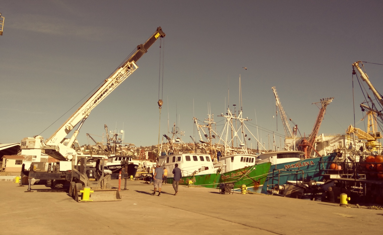 Sector pesquero en contra de la privatización del puerto de El Sauzal