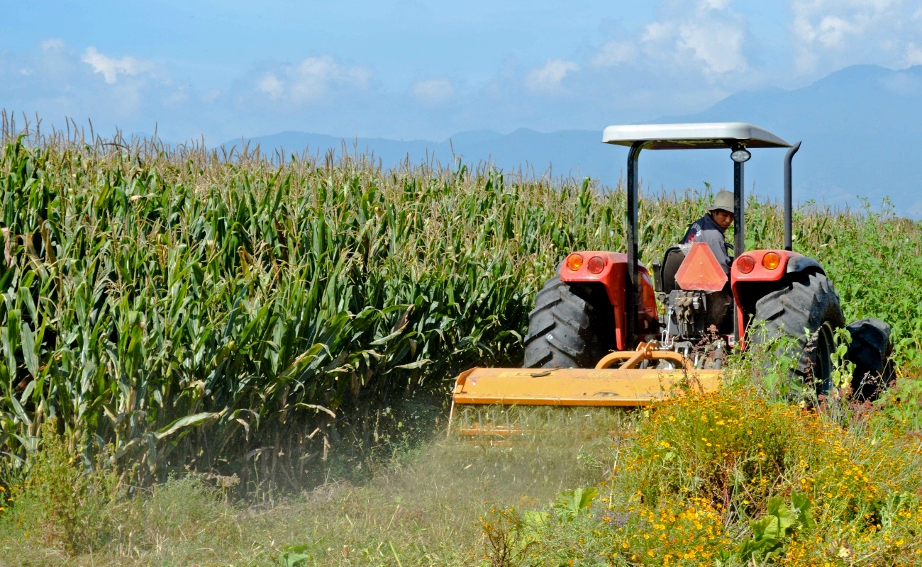 Ofrece Agricultura información en torno a escenarios climáticos y sus efectos en cultivos