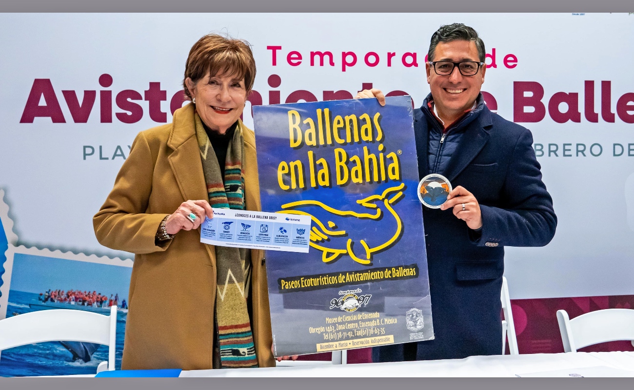 Turismo invita a disfrutar del avistamiento responsable de ballena gris en Ensenada