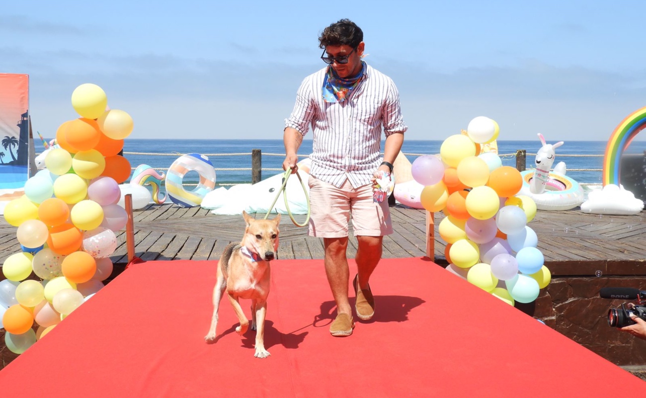 Tijuanenses adoptan 15 mascotas durante la “Pasarela Guau” en Playas de Tijuana
