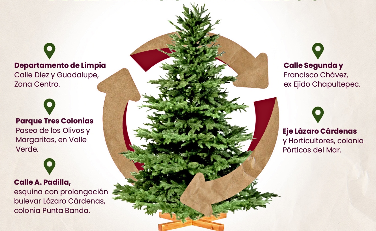 Activará Servicios Públicos centros de acopio para árboles navideños