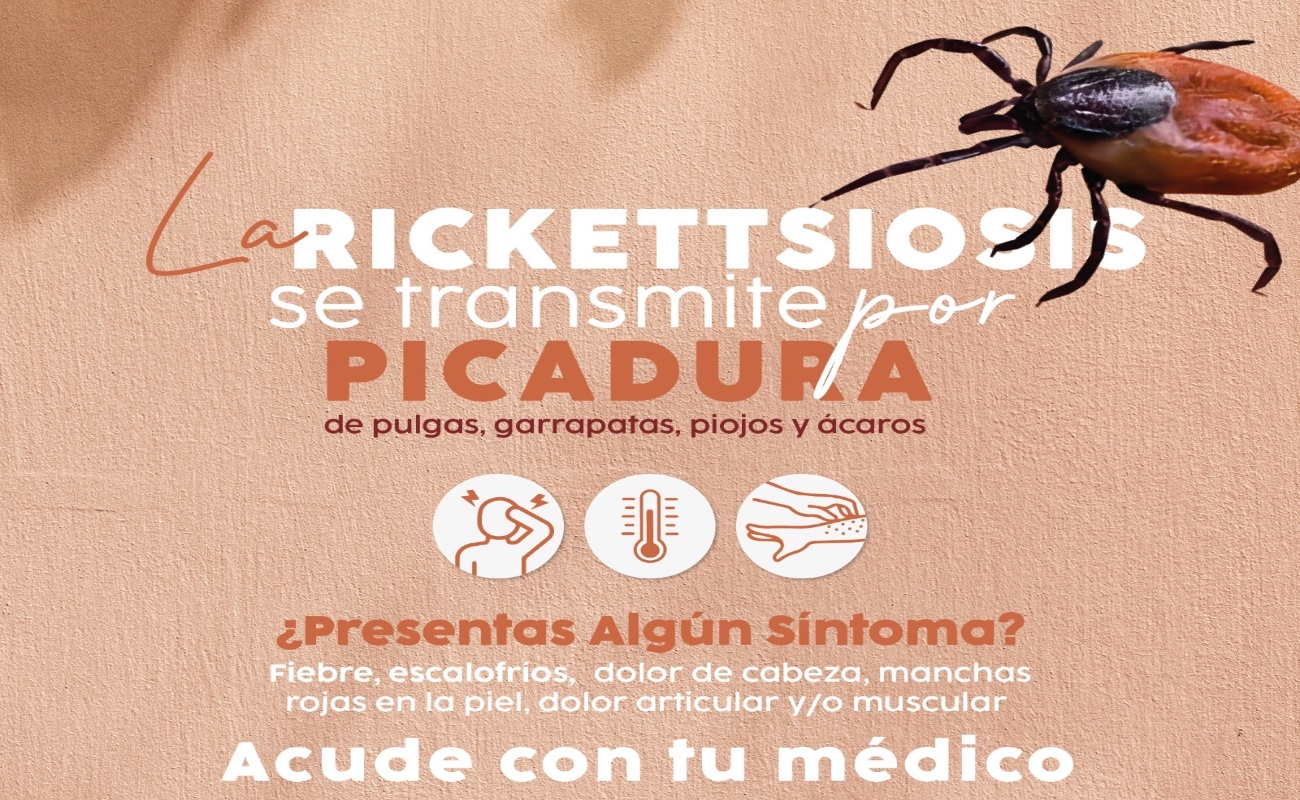 Abusamos de la tecnología