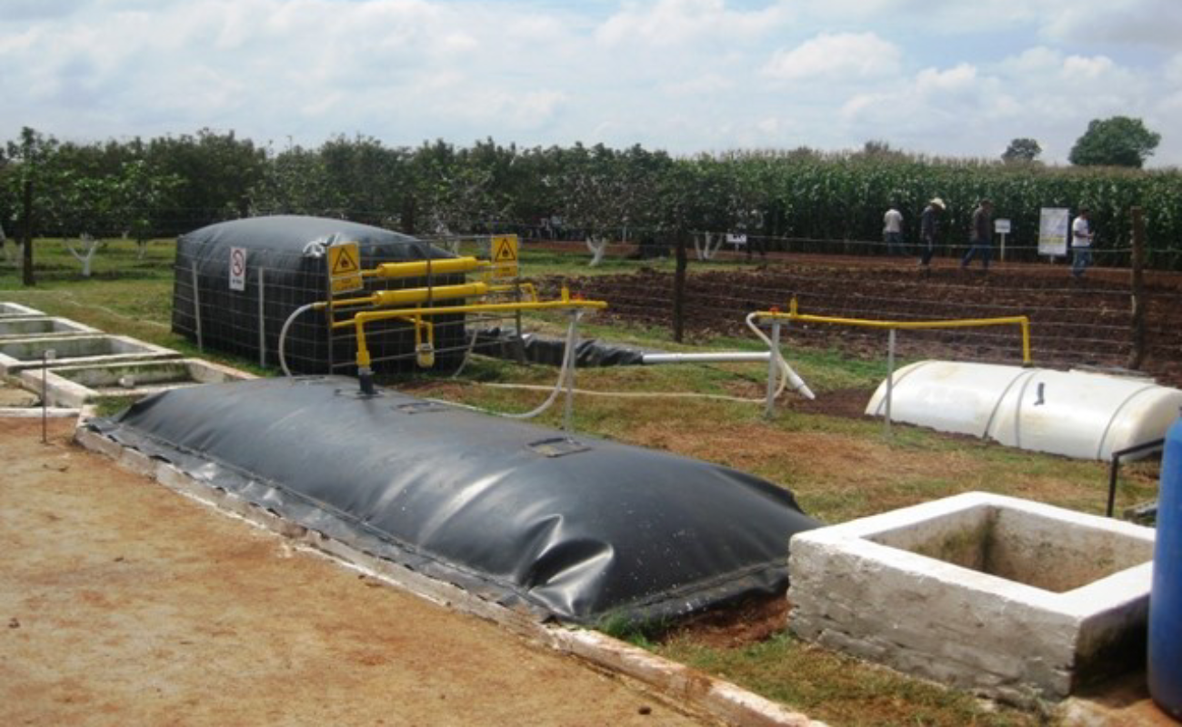 Promueve Agricultura tecnología para el tratamiento de residuos de granjas porcícolas