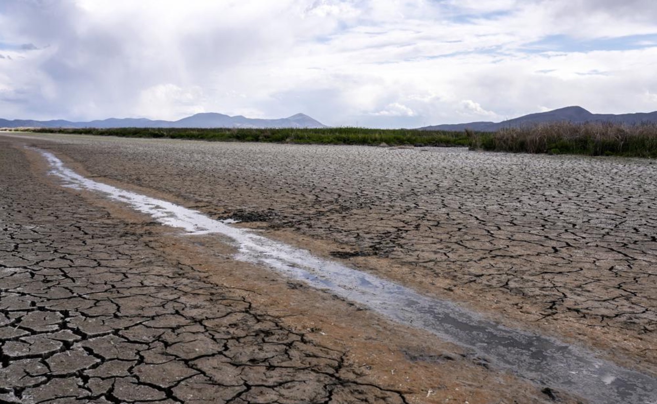 Golpea sequía a California, piden a usuarios ahorrar agua