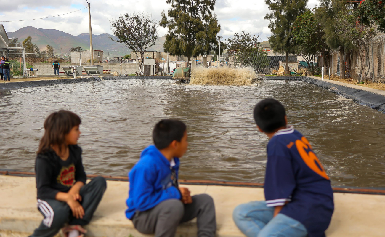 Rehabilita Ayuntamiento planta de tratamiento de aguas residuales en la colonia Tijuana Progreso