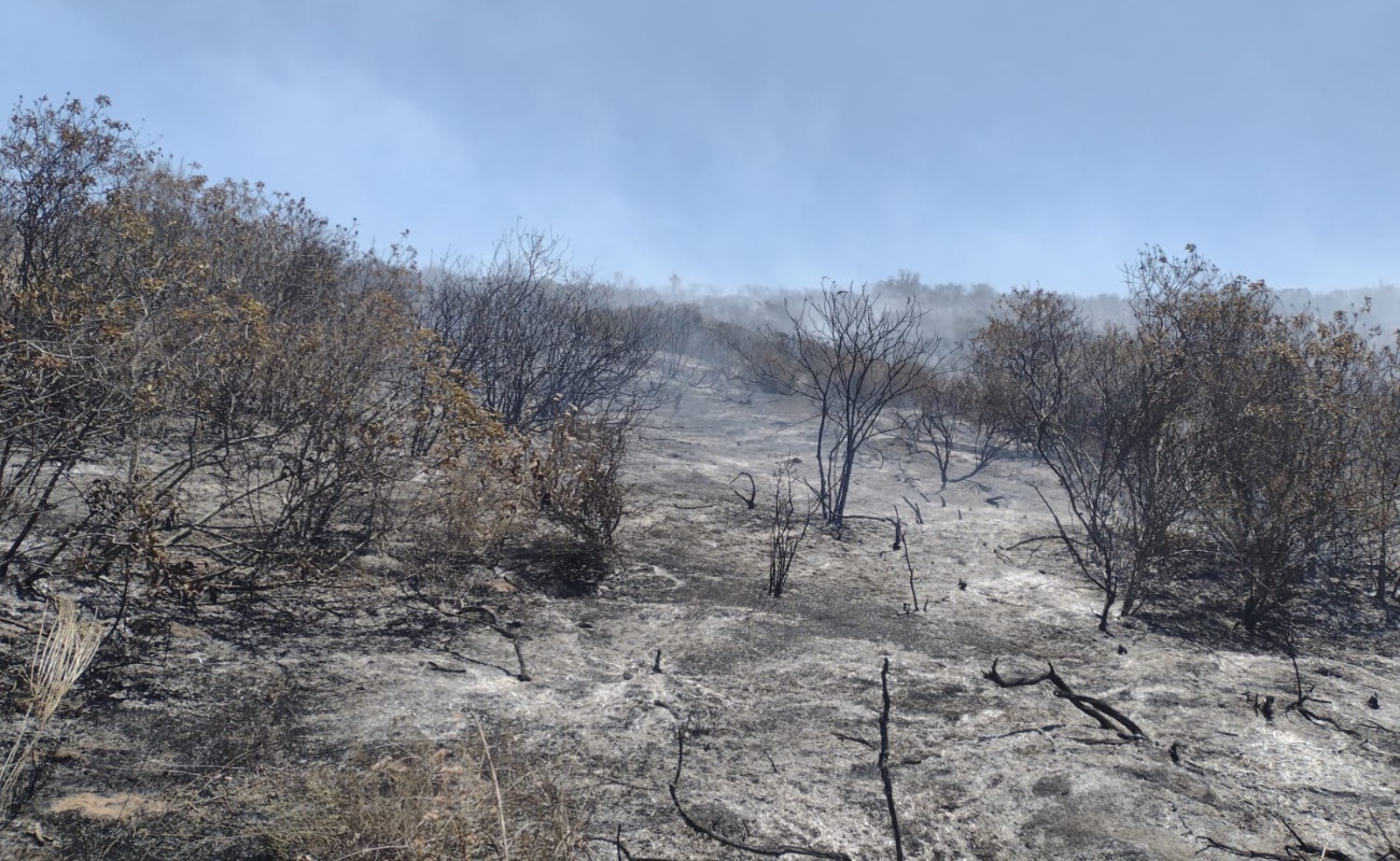 Llama Bomberos de Ensenada a prevenir incendios forestales