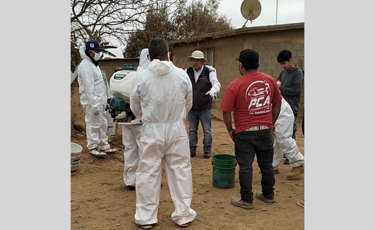 Realizan jornada de fumigación contra la Rickettsiosis en colonia Morelos