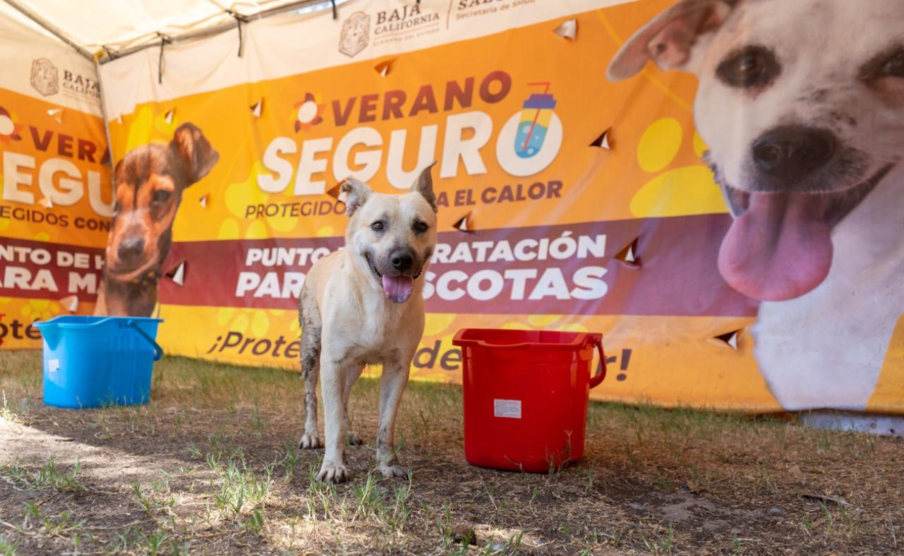 Llaman a no bajar la guardia ante incremento en temperaturas