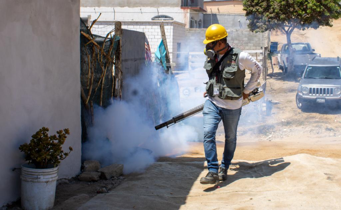 Registra San Felipe casos de dengue autóctono