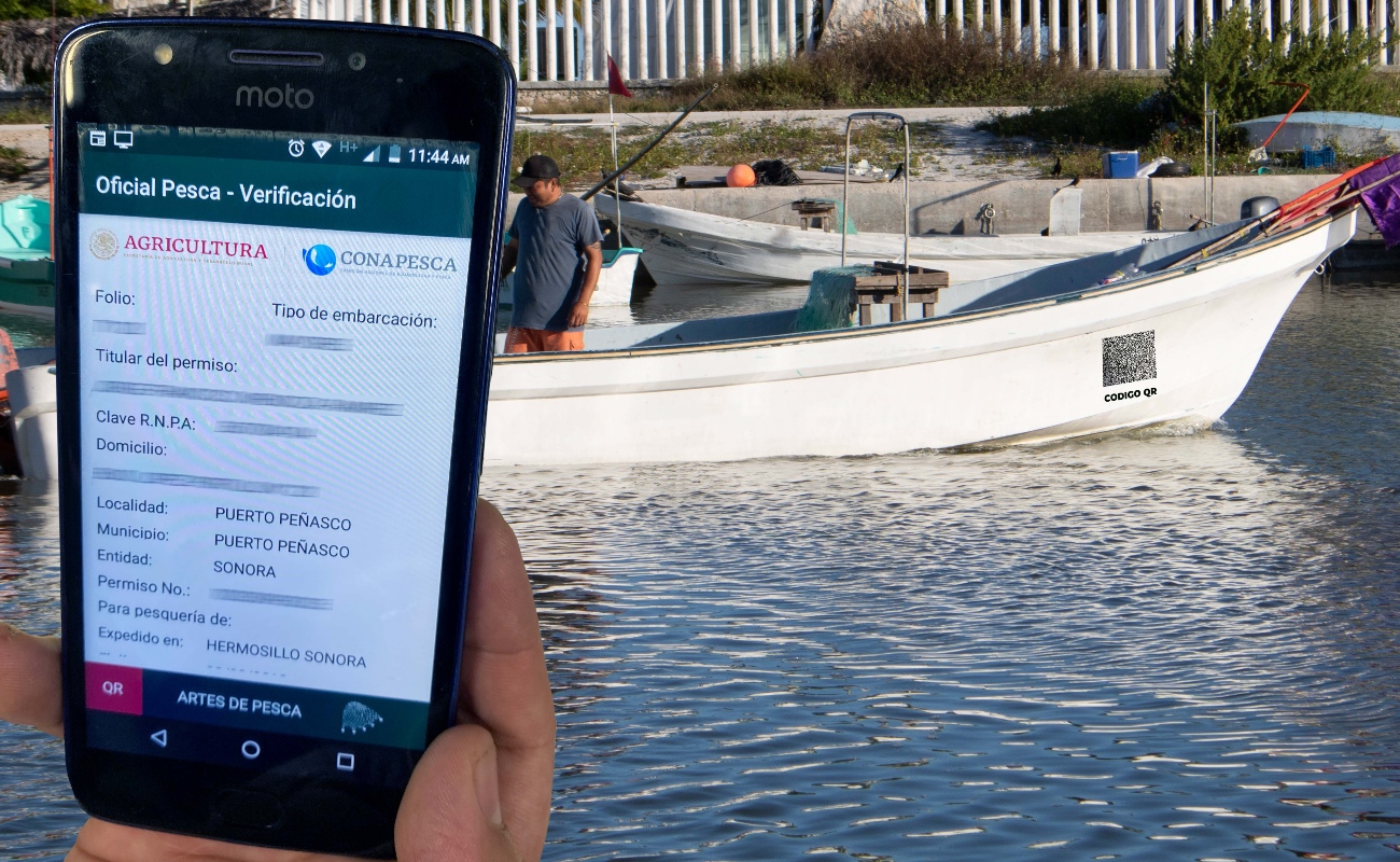 Contribuye permiso digital para pesca comercial a eliminar actos de corrupción contra pescadores