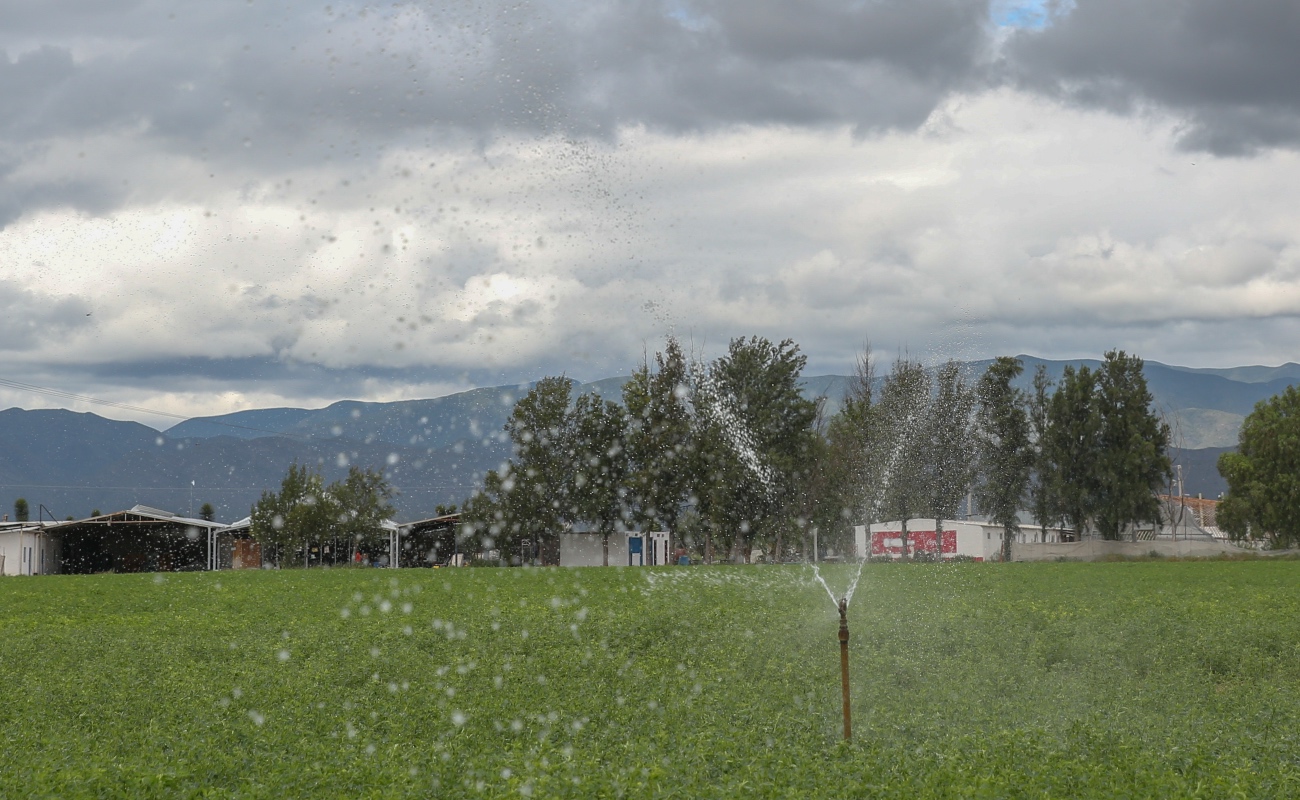 Implementa Agricultura estrategia para estimar y reducir la huella hídrica en la producción agrícola