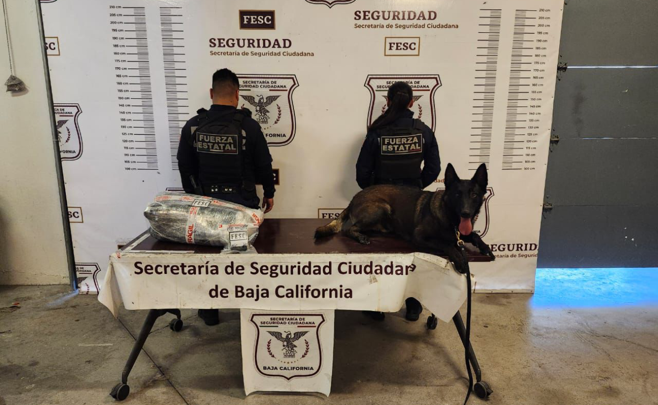 Detecta Fuerza Estatal caso de “mula ciega” en Tijuana