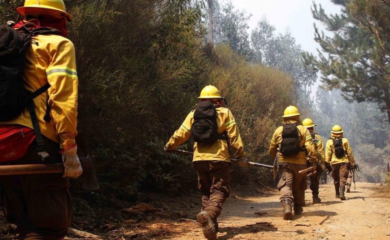 Emite Protección Civil recomendaciones ante temporada de incendios forestales