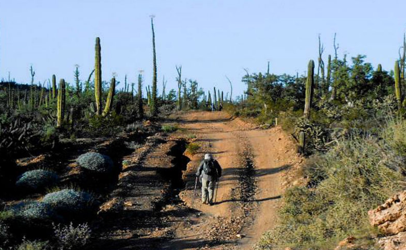 Invitan a participar en la ruta de senderismo “Travesía Baja 100”